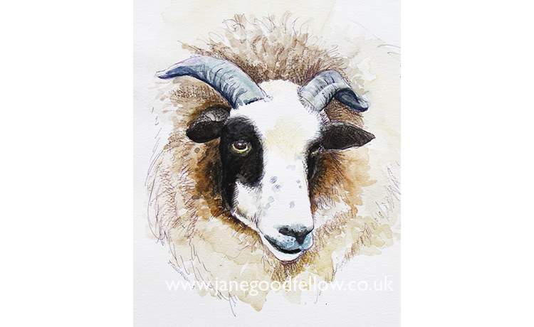 Mixed media artwork "Ewe Head" showing an interesting combination of textures