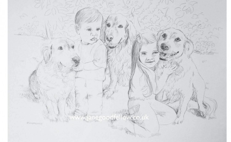 Biro drawing of "Sue's Five" - dogs and their playmates