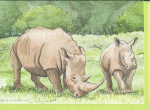 For Sale - Rhino Card