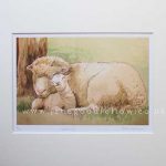 For Sale - Loving Ewe Print