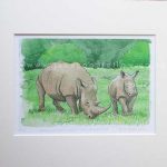 For Sale - Rhino with Calf