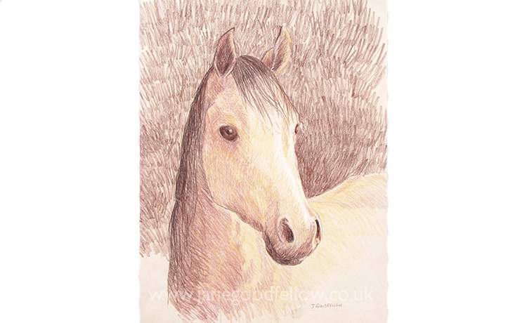 Mixed media artwork of "Emma" a gentle horse