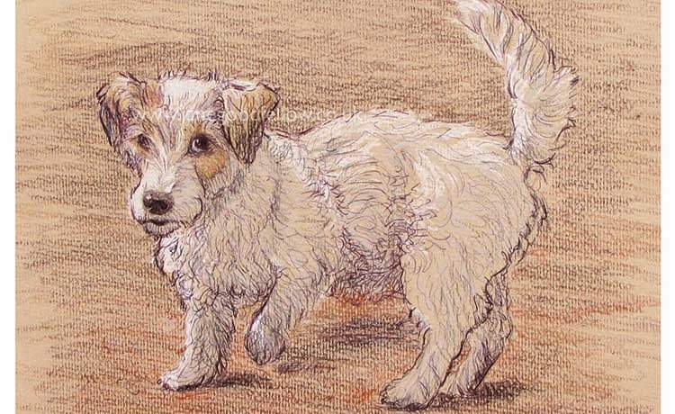 Mixed media artwork of "Lucy" a mischievous Jack Russel