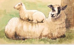 Mixed media artwork "Sitting Pretty" of a lamb sat on their mother's back