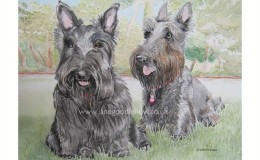 Watercolour of dogs "Henry & Maggie"