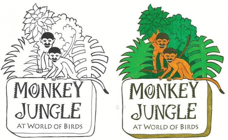 Monkey Jungle graphic design